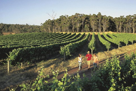 Margaret River, Caves, Wine And Cape Leeuwin Lighthouse Tour From Perth - 2032 Olympic Games 1