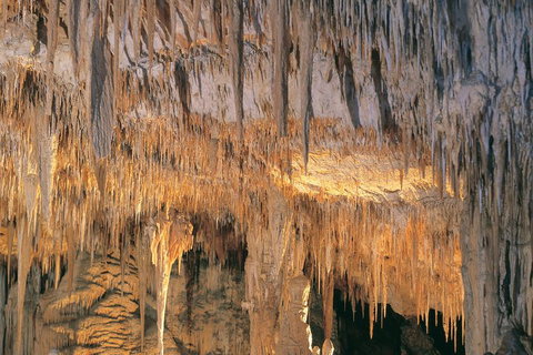 Margaret River, Caves, Wine And Cape Leeuwin Lighthouse Tour From Perth - 2032 Olympic Games 3