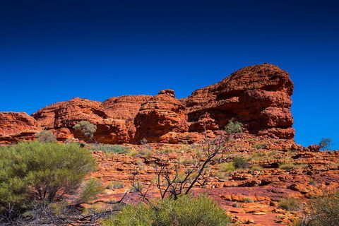 7-Day Guided Tour Of Alice Springs With Accommodation Included - 2032 Olympic Games 4