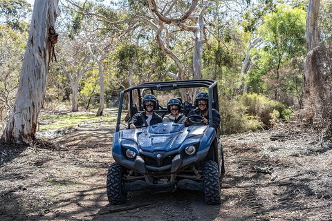 Small-Group Buggy Tour At Little Sahara With Guide - 2032 Olympic Games 0