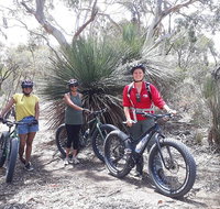 2 Hour Bike Tour in Kangaroo Island - 2032 Olympic Games