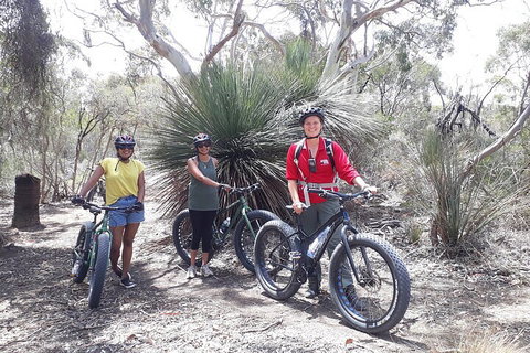 2 Hour Bike Tour In Kangaroo Island - 2032 Olympic Games 0
