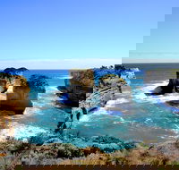 Great Ocean Road Small-Group Ecotour from Melbourne - 2032 Olympic Games