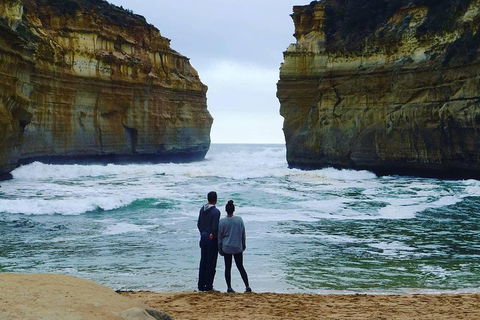 Great Ocean Road Small-Group Ecotour From Melbourne - 2032 Olympic Games 1