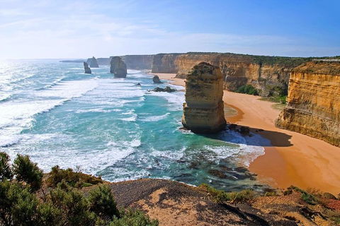 Great Ocean Road Small-Group Ecotour From Melbourne - 2032 Olympic Games 2