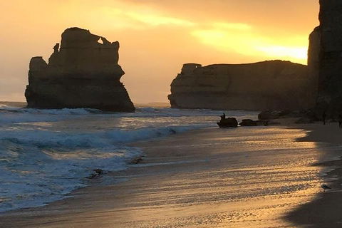 Great Ocean Road Small-Group Ecotour From Melbourne - 2032 Olympic Games 5