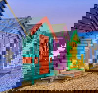 Phillip Island Penguin Brighton Beach Moonlit Sanctuary from Melbourne - 2032 Olympic Games