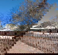 Private Cultural and Historical Painted Desert Tour in Hermannsburg - 2032 Olympic Games