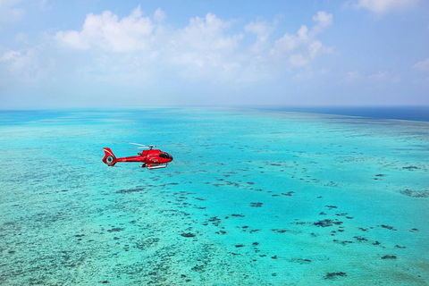 Helicopter And Cruise Packages From Port Douglas - 2032 Olympic Games 1