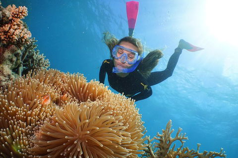 Helicopter And Cruise Packages From Port Douglas - 2032 Olympic Games 3