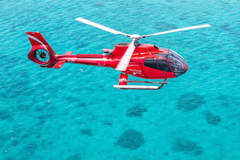 Helicopter And Cruise Packages From Port Douglas - 2032 Olympic Games 5