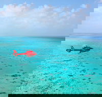 Port Douglas Scenic Flights - 2032 Olympic Games
