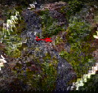 Ultimate Great Barrier Reef and Rainforest 45-minute Helicopter Tour - 2032 Olympic Games