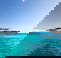 Rottnest Island Bike Snorkel  Ferry Package from Fremantle - 2032 Olympic Games