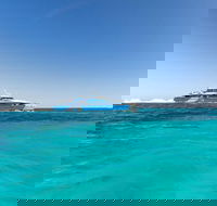 Rottnest Island Bayseeker Day Trip from Perth - 2032 Olympic Games