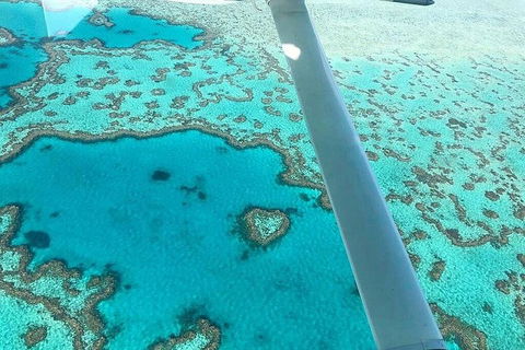 Whitsunday Islands 1-Hour Reef Scenic Helicopter Tour - 2032 Olympic Games 3