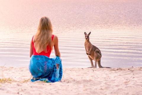 Serenity Cruise To Australia's Everglades - 2032 Olympic Games 3