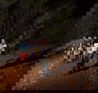 Alice Springs Desert Park Nocturnal Tour - 2032 Olympic Games