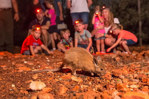 Alice Springs Desert Park Nocturnal Tour - 2032 Olympic Games 1