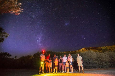 Alice Springs Desert Park Nocturnal Tour - 2032 Olympic Games 2