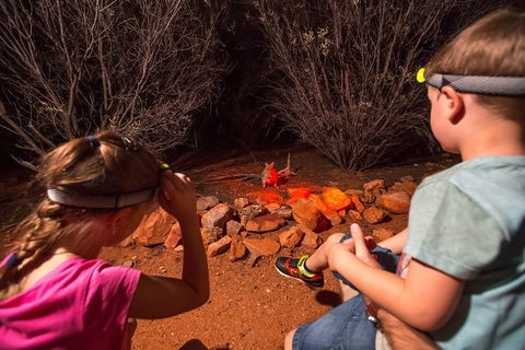 Alice Springs Desert Park Nocturnal Tour - 2032 Olympic Games 4
