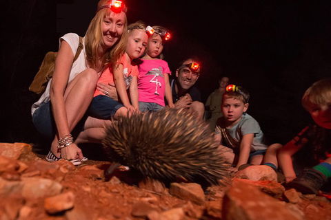 Alice Springs Desert Park Nocturnal Tour - 2032 Olympic Games 5