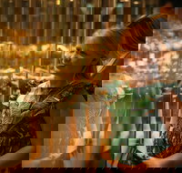 The Perth Mint Guided Heritage Tour and Gold Pour - 2032 Olympic Games