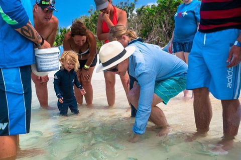 Whitehaven Beach And Hamilton Island Cruise - 2032 Olympic Games 1