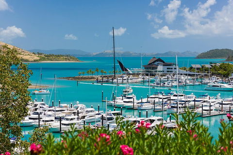 Whitehaven Beach And Hamilton Island Cruise - 2032 Olympic Games 3