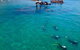 Adventure Moreton Island Scuba Dive Tour - thumb 0