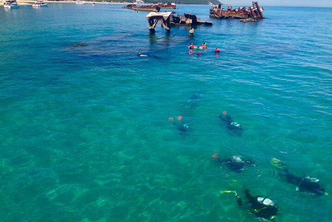 Adventure Moreton Island Scuba Dive Tour - 2032 Olympic Games 0