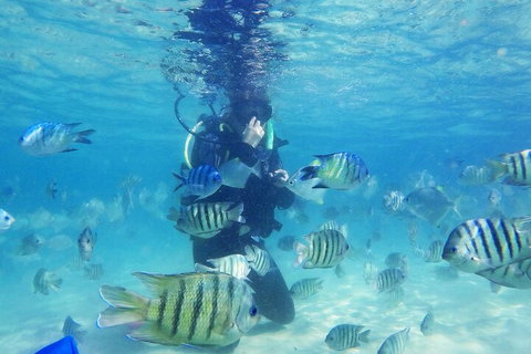 Adventure Moreton Island Scuba Dive Tour - 2032 Olympic Games 1