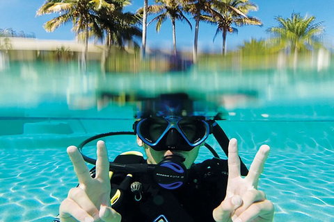 Adventure Moreton Island Scuba Dive Tour - 2032 Olympic Games 2