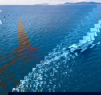 2-Night Whitsunday Islands Sailing Adventure on Trimaran Avatar - 2032 Olympic Games