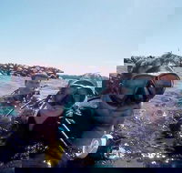 Wave Break Island Scuba Diving on the Gold Coast - 2032 Olympic Games