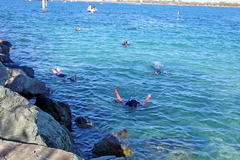 Wave Break Island Scuba Diving On The Gold Coast - 2032 Olympic Games 1