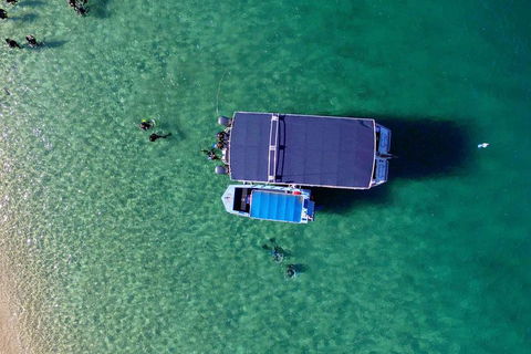 Wave Break Island Scuba Diving On The Gold Coast - 2032 Olympic Games 2