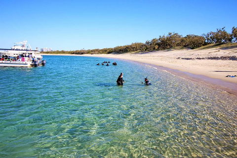 Wave Break Island Scuba Diving On The Gold Coast - 2032 Olympic Games 4