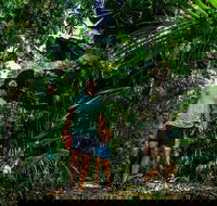 Full Day Daintree Rainforest and Mossman Gorge Tour - 2032 Olympic Games