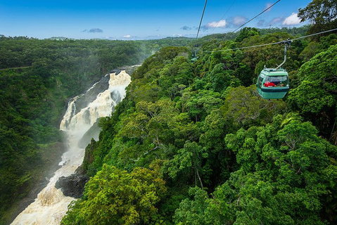 Cairns ATV Adventure Tour And Morning Skyrail - 2032 Olympic Games 3
