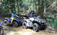 Cairns ATV Adventure Tour And Morning Skyrail - thumb 4