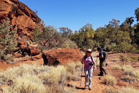 Palm Valley And Hermannsburg 1 Day 4WD Tour - 2032 Olympic Games 1