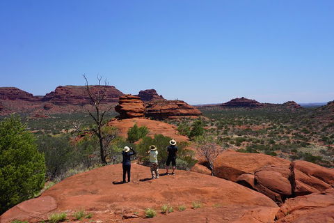 Palm Valley And Hermannsburg 1 Day 4WD Tour - 2032 Olympic Games 2