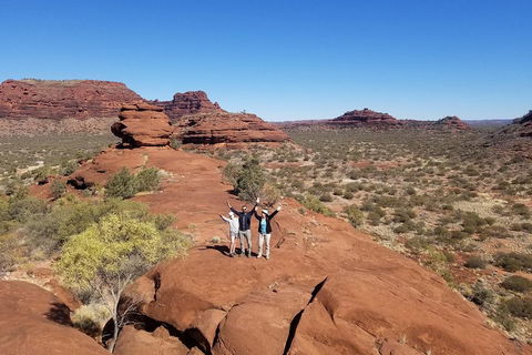 Palm Valley And Hermannsburg 1 Day 4WD Tour - 2032 Olympic Games 3