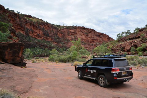 Palm Valley And Hermannsburg 1 Day 4WD Tour - 2032 Olympic Games 5
