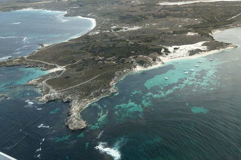 Full Day Tour By Seaplane To Rottnest Island Small Group Trip - 2032 Olympic Games 5