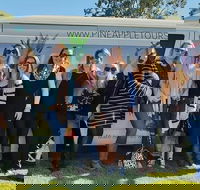 Full Day Mount Tamborine Winery Tour from Gold Coast - 2032 Olympic Games