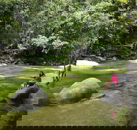 Daintree Dreaming Traditional Aboriginal Fishing from Cairns or Port Douglas - 2032 Olympic Games