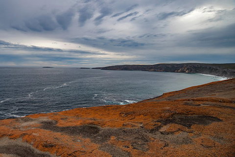 Kangaroo Island Luxury Small Group 'Flinders Chase Focus' Full Day Tour - 2032 Olympic Games 0