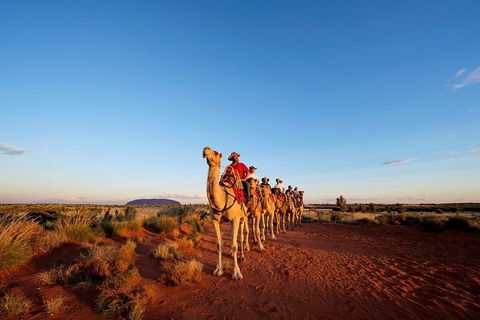 Uluru Small-Group Tour By Camel At Sunrise Or Sunset - 2032 Olympic Games 3